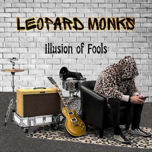 Cover art for Illusion of Fools